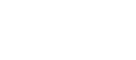 bernini-bristo